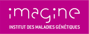 Logo de IMAGINE